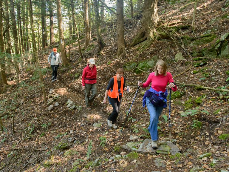 Four hikers in the woods navigating the Slate Valley trails