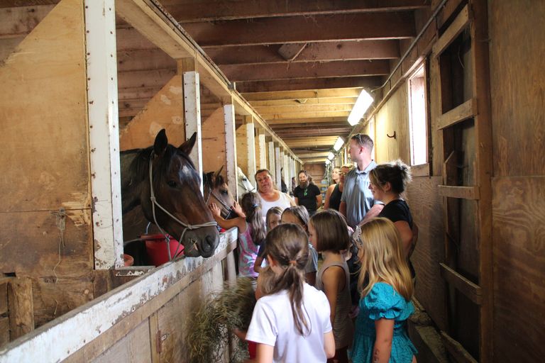 Children admiring the horses in the stable at Pond Hill Ranch