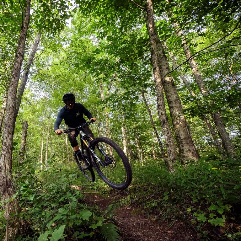 mountain biker in the woods on a trail