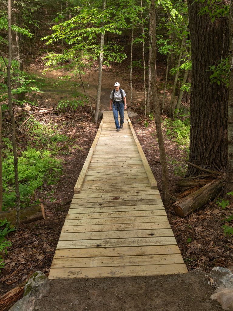 Hiker walking on wooden bridge in woods