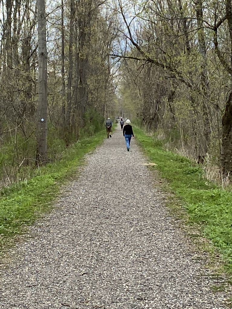 Hikers on a trail near Poultney