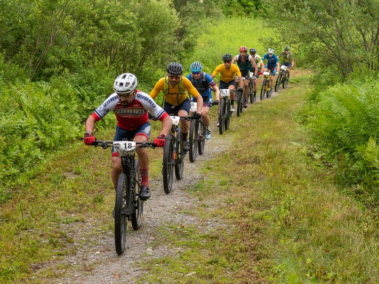 Mountain bike racers on a trail